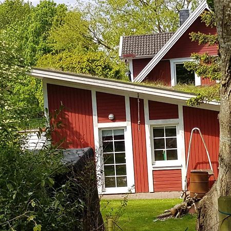 Apartamento An Der Schafsweide Aukrug Exterior foto